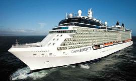 Celebrity Silhouette